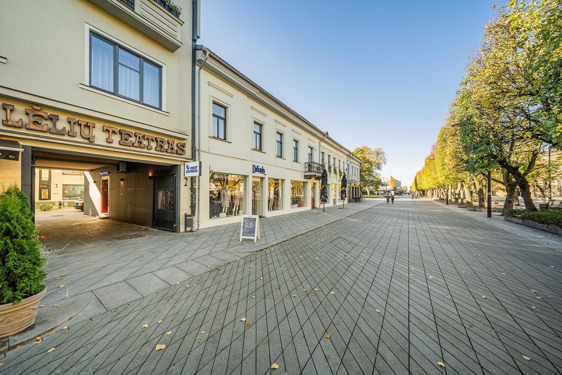 Central Park Apartments - The Luxury Collection Kaunas Exterior photo