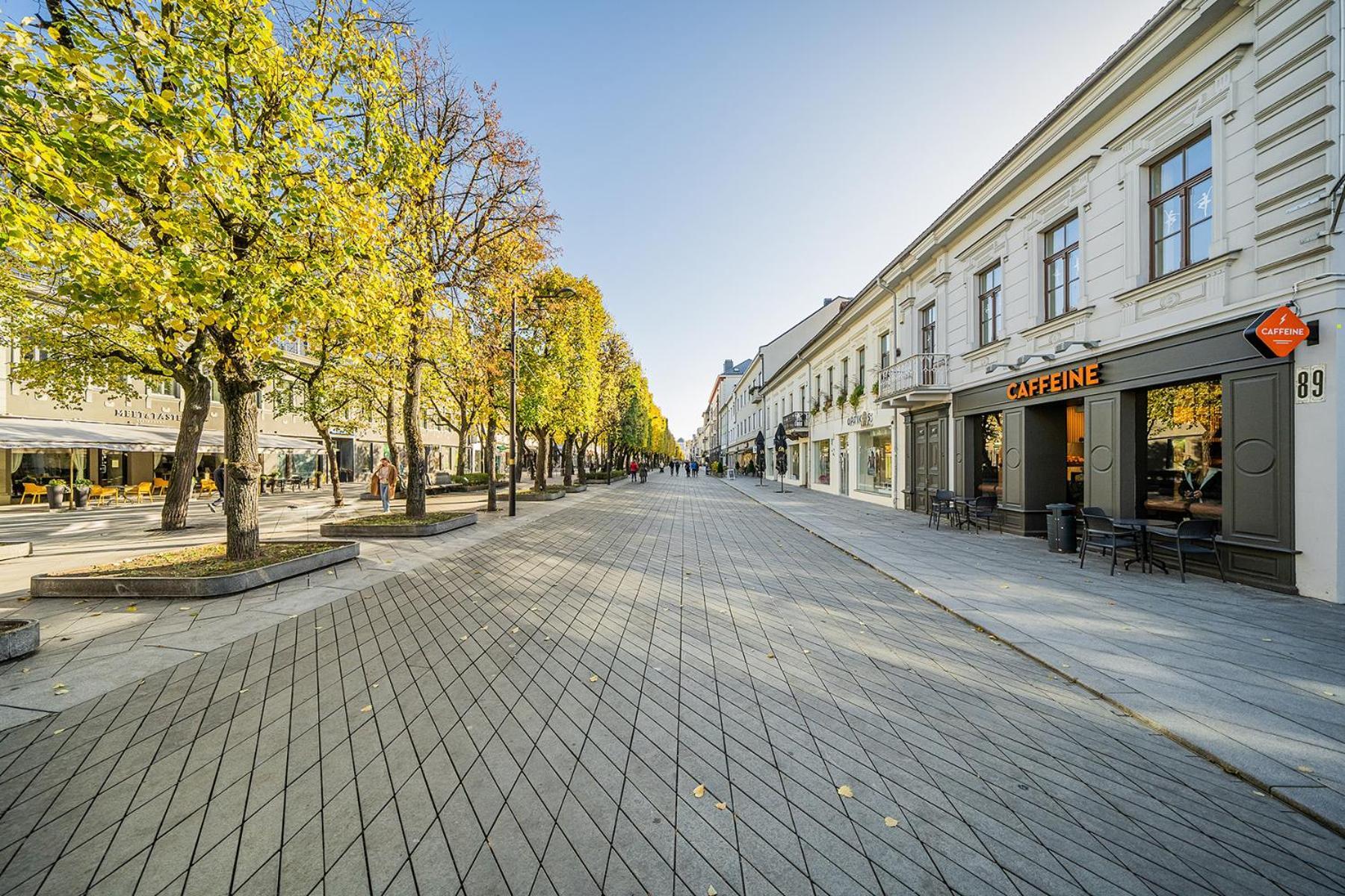 Central Park Apartments - The Luxury Collection Kaunas Exterior photo